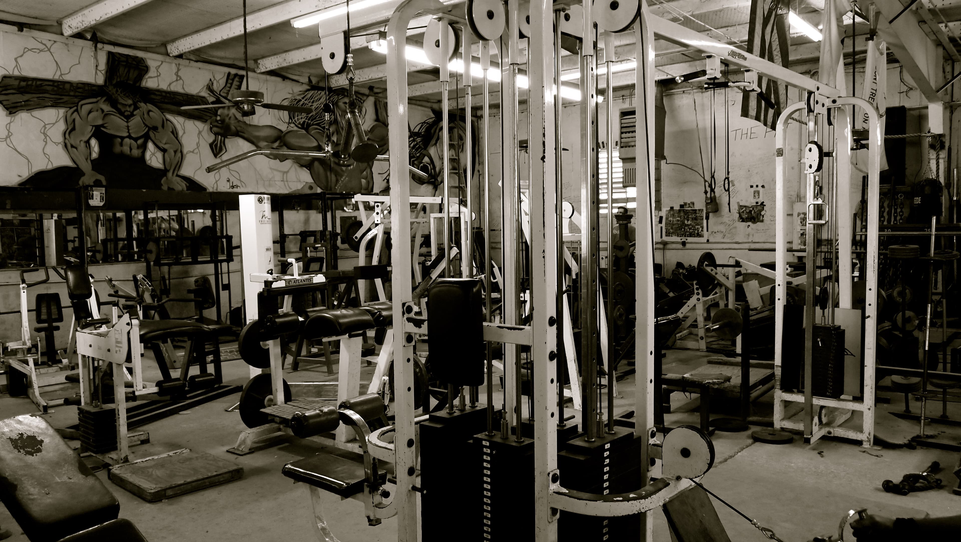 Best Gyms in Arlington TX for Serious Lifters